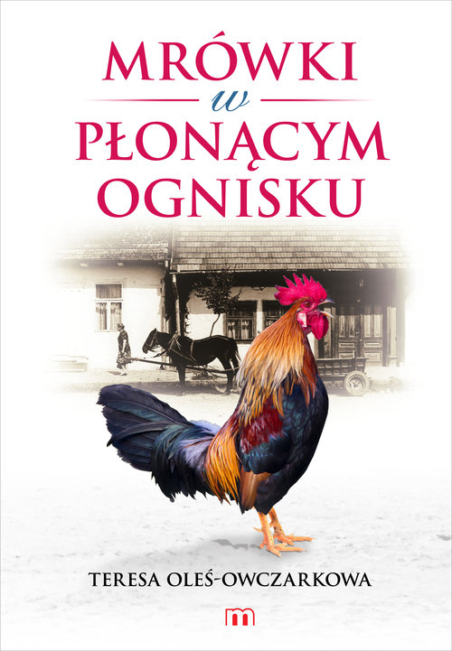 Image of Mrówki w płonącym ognisku