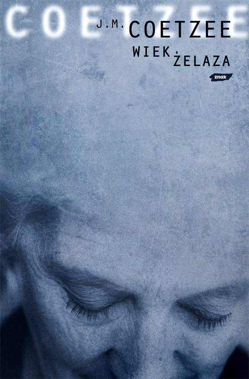 Image of Wiek żelaza