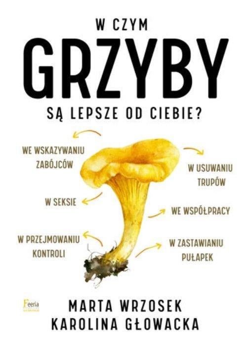 Image of W czym grzyby są lepsze od ciebie?