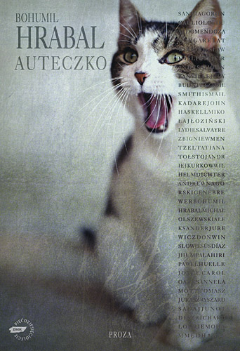 Image of Auteczko