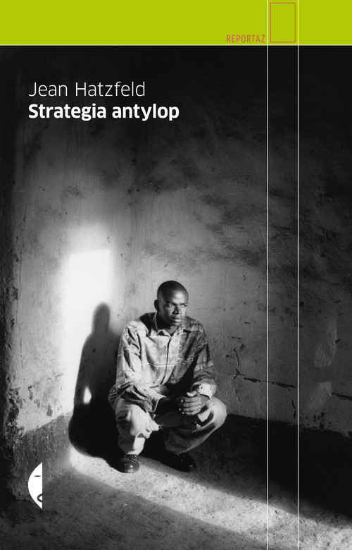 Image of Strategia antylop