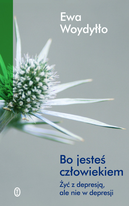 Image of Bo jesteś człowiekiem. Żyć z depresją ale nie w depresji