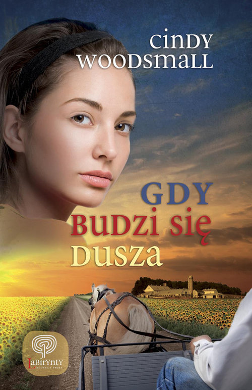 Image of Labirynty. Gdy budzi się dusza
