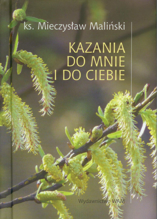 Image of Kazania do mnie i do ciebie