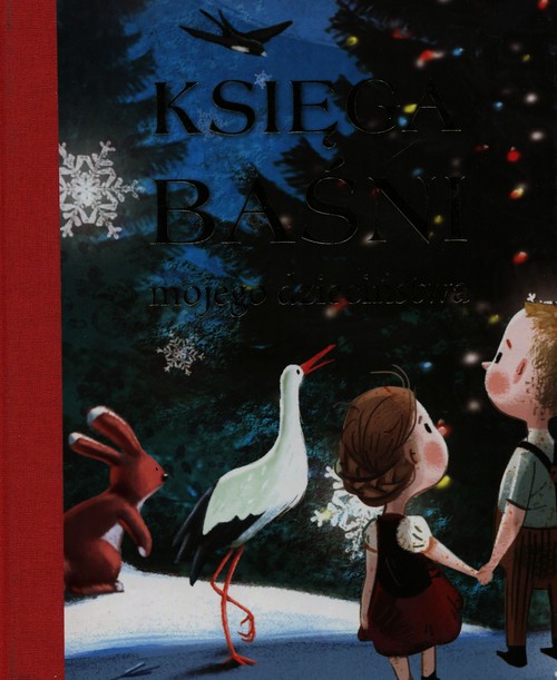 Image of Księga baśni mojego dzieciństwa