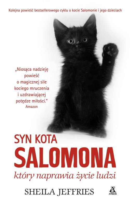 Image of Syn kota Salomona który naprawia życie ludzi
