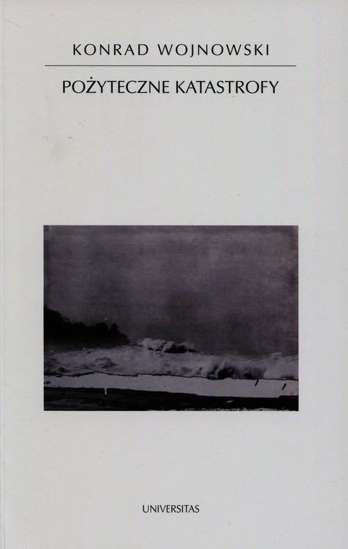 Image of Pożyteczne katastrofy