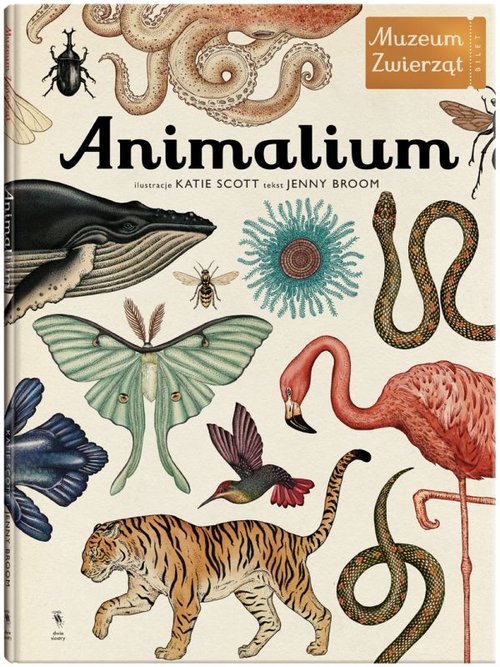 Image of Animalium. Muzeum zwierząt
