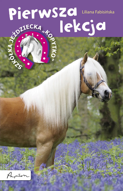 Image of Szkółka jeździecka Kopytko Pierwsza lekcja