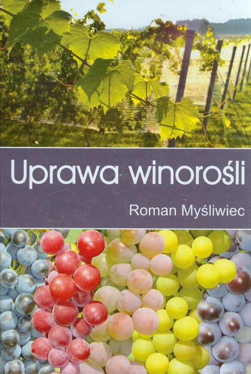 Image of Uprawa winorośli