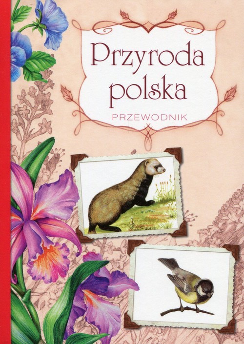 Image of Przyroda polska Przewodnik
