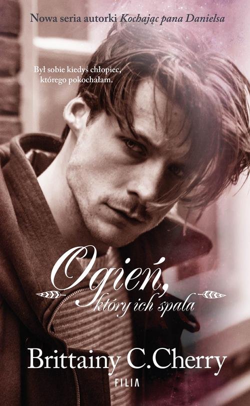 Image of Żywioły Tom 2 Ogień który ich spala