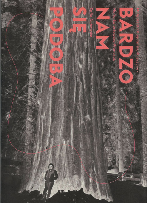 Image of Bardzo nam się podoba