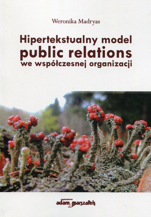 Image of Hipertekstualny model public relations we współczesnej organizacji