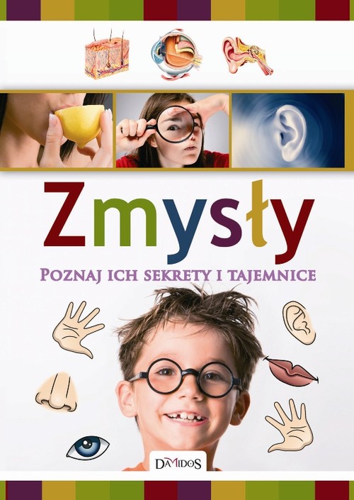 Image of Zmysły Poznaj ich sekrety i tajemnice