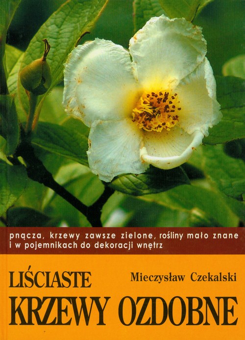 Image of Liściaste krzewy ozdobne 2