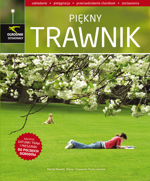 Image of Piękny trawnik