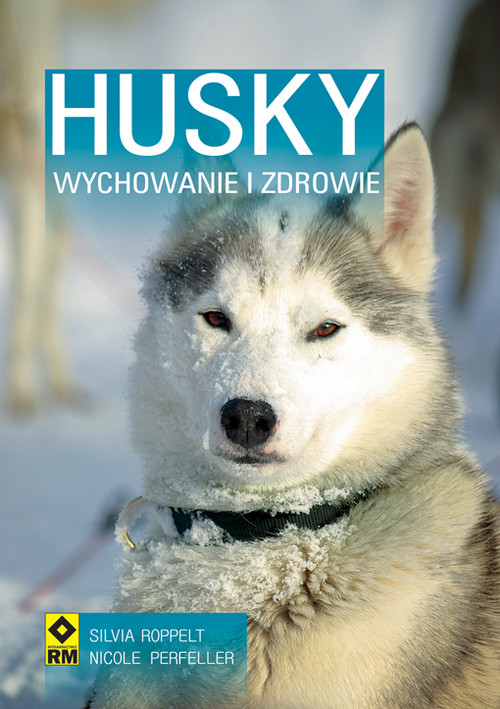 Image of Husky Syberyjski Wychowanie i zdrowie