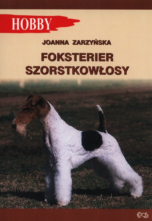 Image of Foksterier szorstkołosy