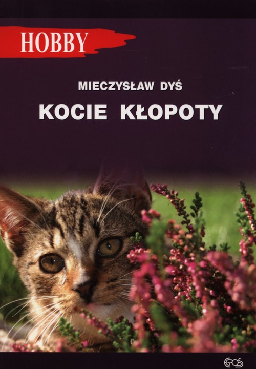 Image of Kocie kłopoty
