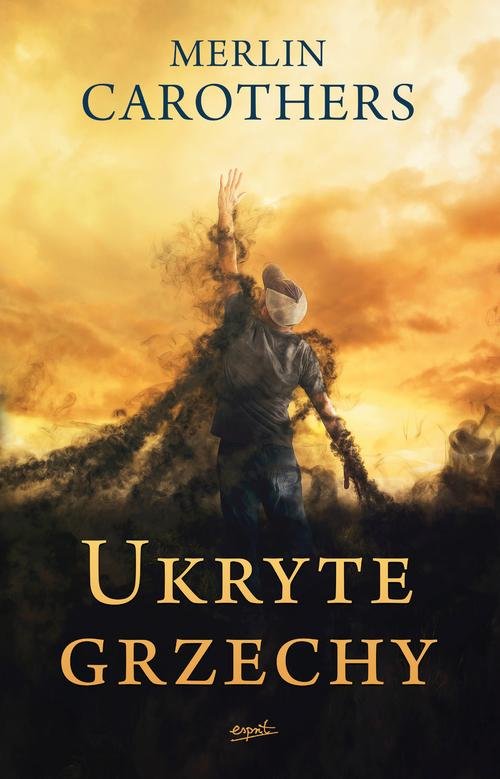 Image of Ukryte grzechy