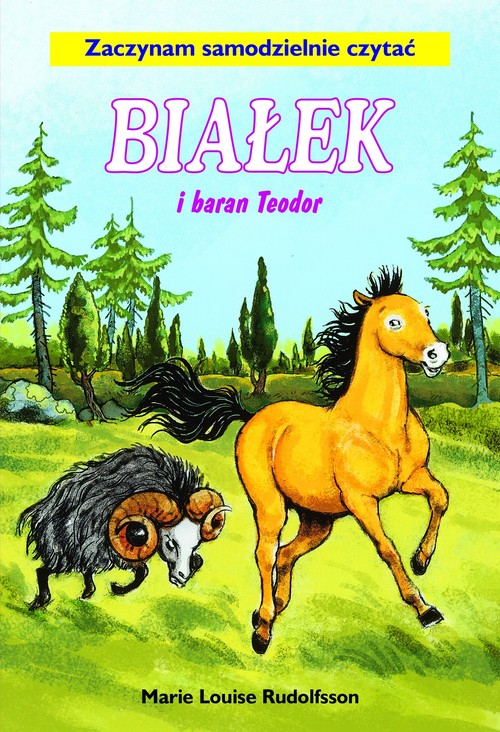 Image of Białek i Baran Teodor