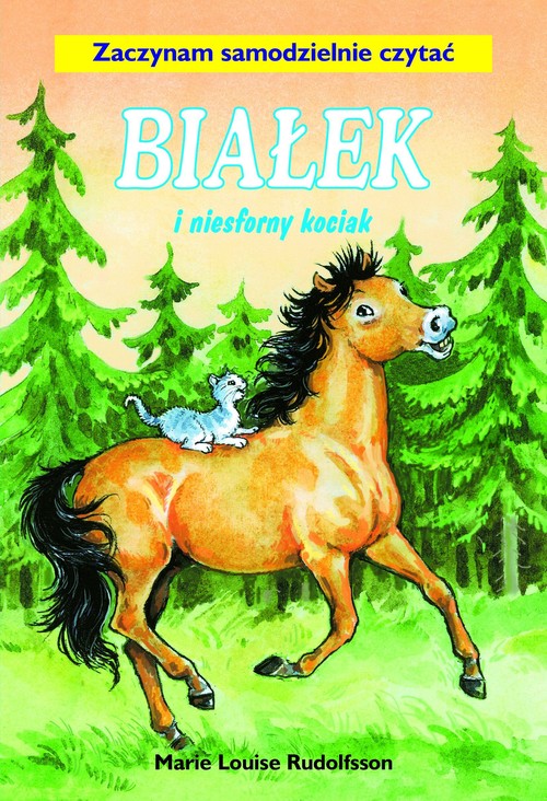 Image of Białek i niesforny kociak Tom 11 Zaczynam samodzielnie czytać