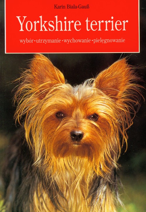 Image of Yorkshire terrier wybór, utrzymanie, wychowanie, pielęgnowanie