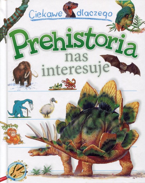 Image of Ciekawe dlaczego Prehistoria nas interesuje
