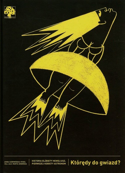 Image of Którędy do gwiazd?