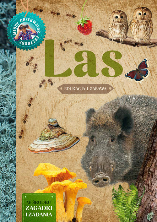 Image of Las Młody Obserwator Przyrody