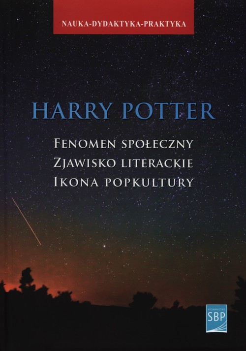 Image of Harry Potter Fenomen społeczny zjawisko literackie ikona popkultury