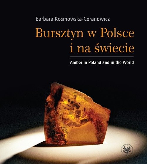 Image of Bursztyn w Polsce i na świecie Amber in Poland and in the World