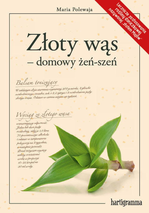 Image of Złoty wąs - domowy żeń-szeń