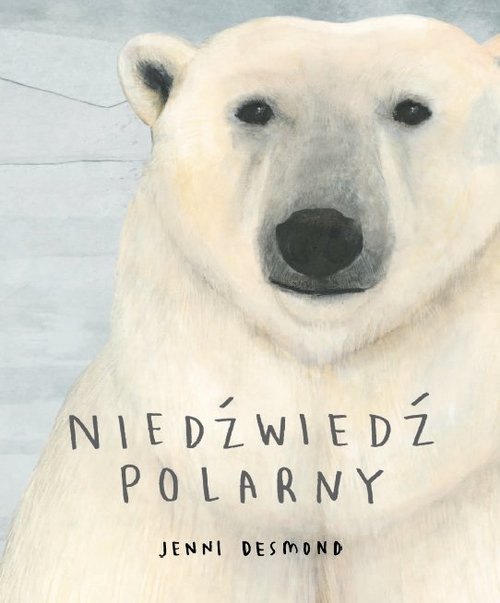 Image of Niedźwiedź polarny