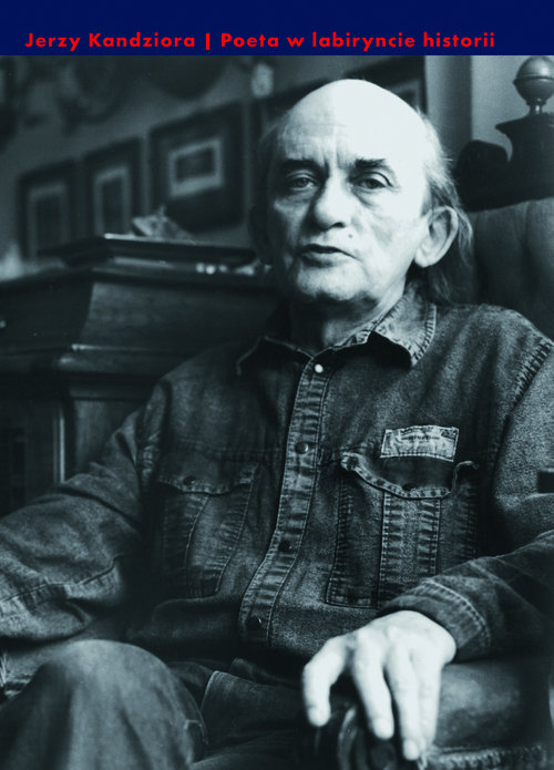 Image of Poeta w labiryncie historii