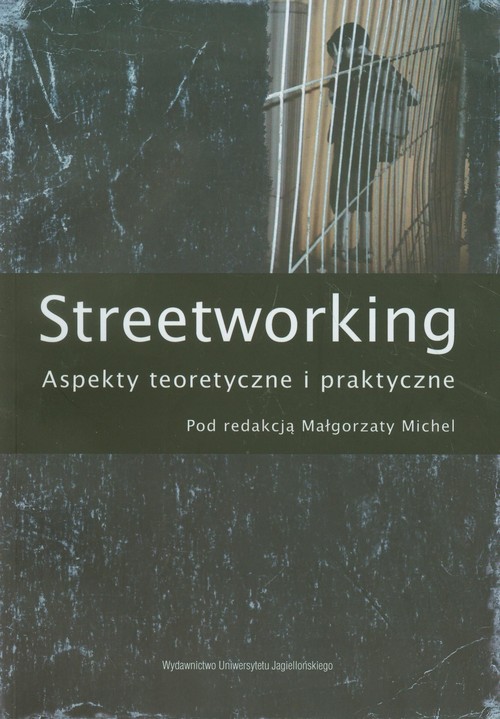 Image of Streetworking Aspekty teoretyczne i praktyczne