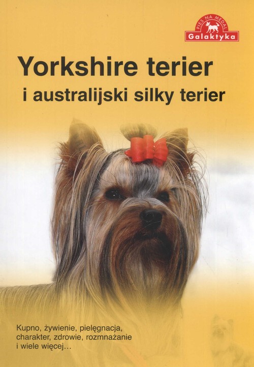 Image of Yorkshire terier i australijski silky terier
