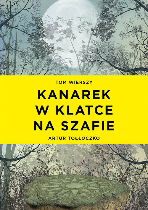 Image of Kanarek w klatce na szafie