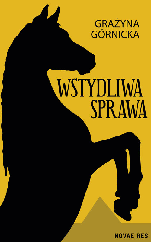 Image of Wstydliwa sprawa