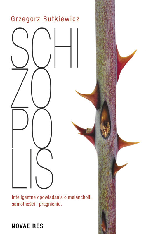 Image of Schizopolis