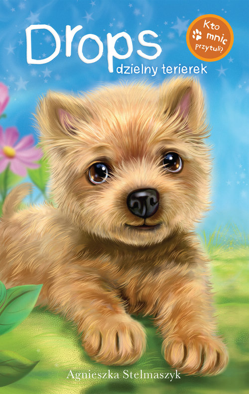 Image of Drops dzielny terrierek