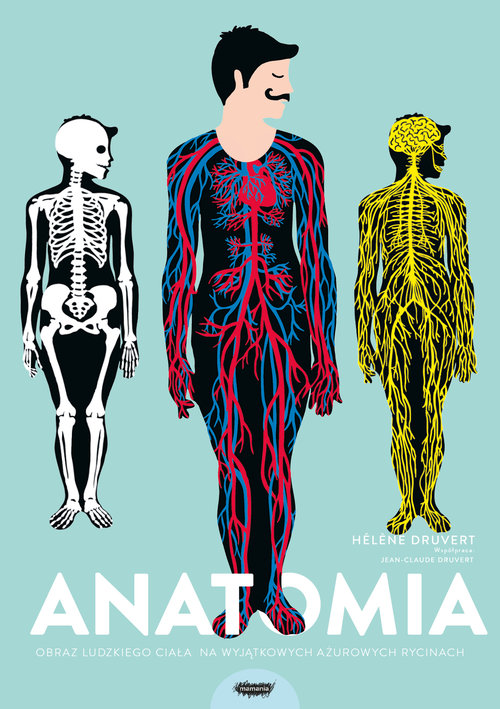 Image of Anatomia Obraz ludzkiego ciała na wyjątkowych ażurowych rycinach