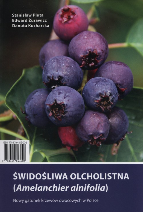 Image of Świdośliwa olcholistna