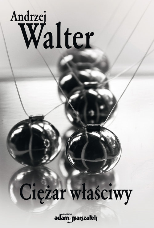 Image of Ciężar właściwy