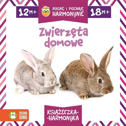 Image of Rosnę i poznaję harmonijnie. Zwierzęta domowe
