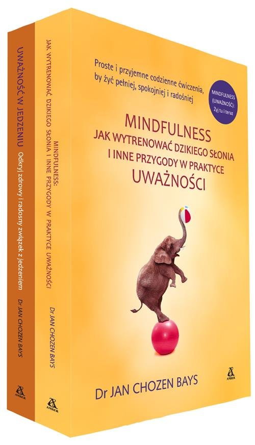 Image of Jak wytrenować dzikiego słonia / Uważność w jedzeniu Pakiet