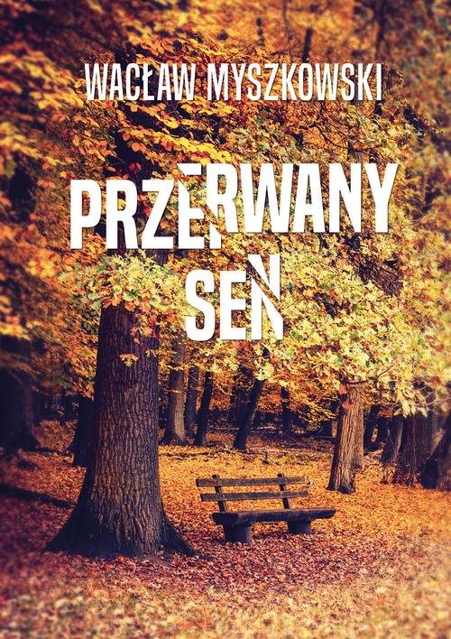 Image of Przerwany sen