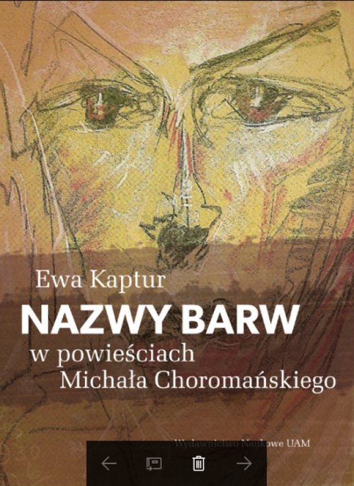 Image of Nazwy barw w powieściach Michała Choromańskiego