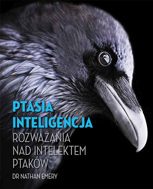 Image of Ptasia inteligencja Rozważania nad intelektem ptaków